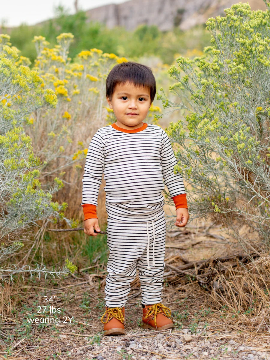 Raven Stripe and Monarch Lounge Set