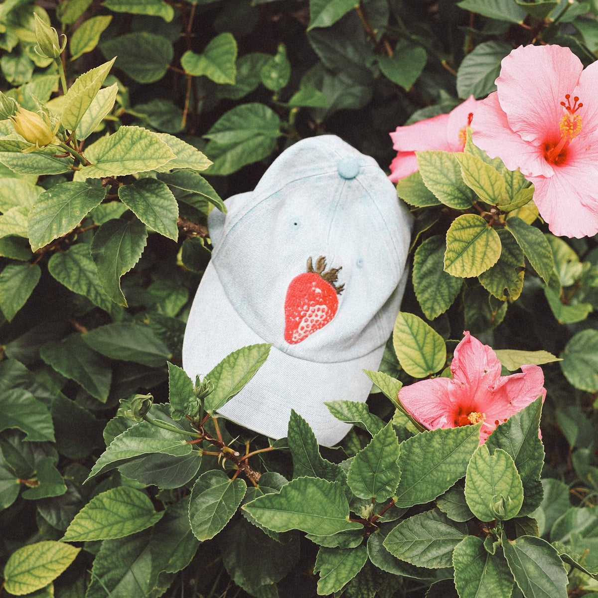 STRAWBERRY FIELDS Hat