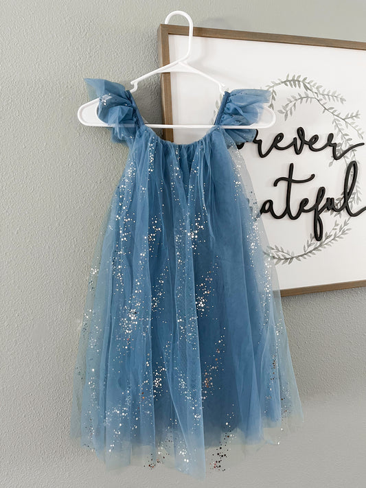 “THE” Blue Princess Dress