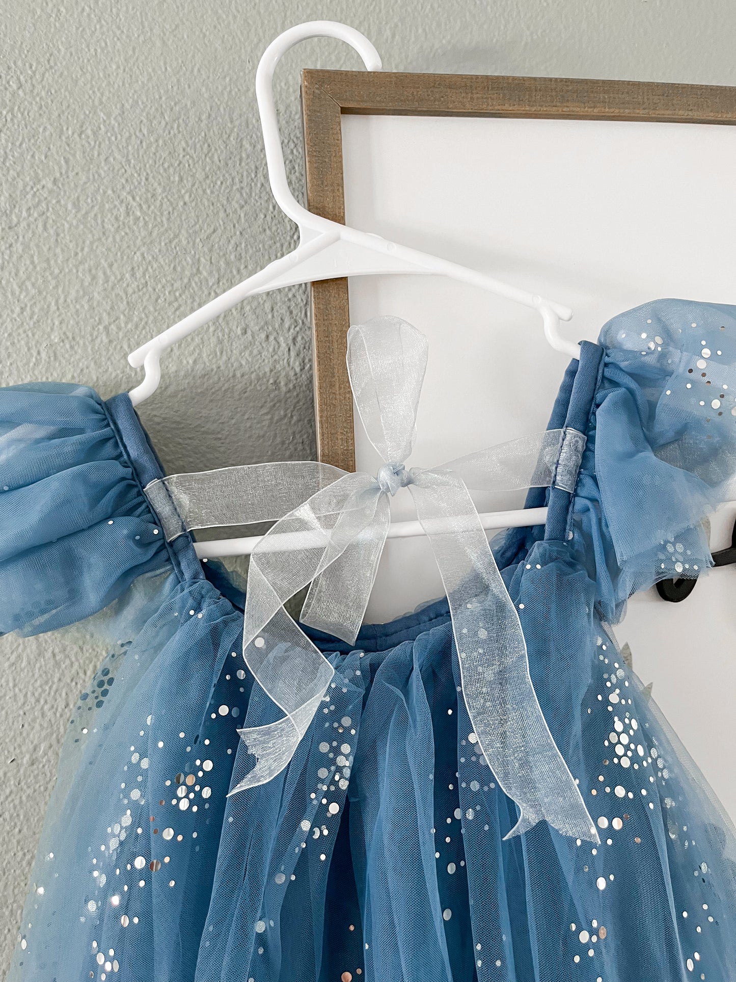 “THE” Blue Princess Dress