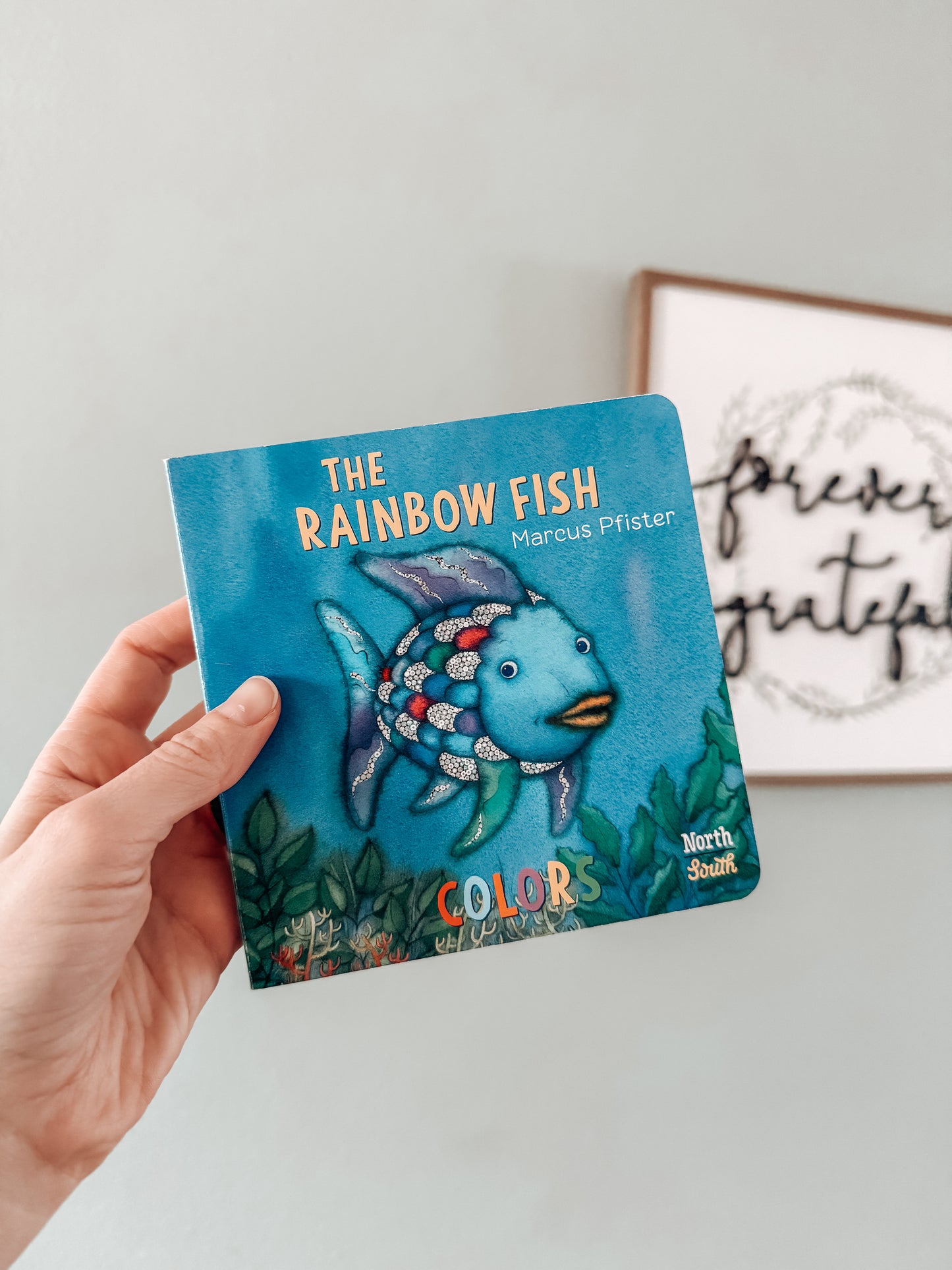 The Rainbow Fish Colors